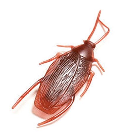 Fop kakkerlak speelgoed - bruin cockroach