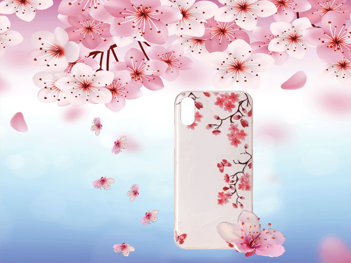 Blumenblüte iPhone Hüllen